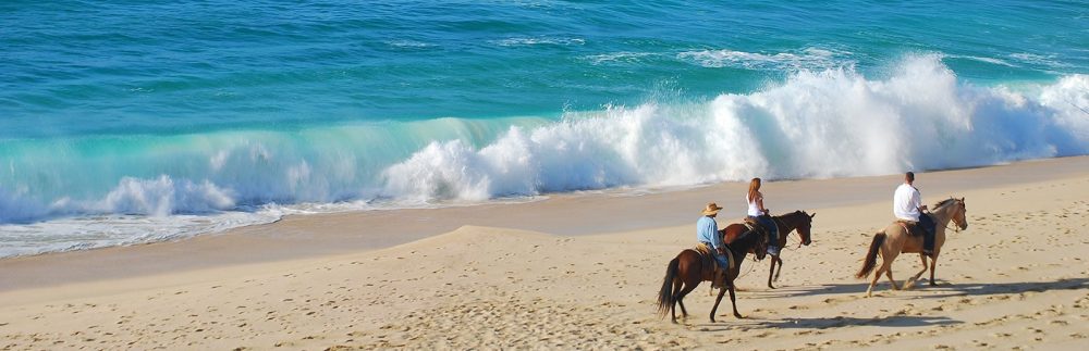LaVenCabo Rentals
