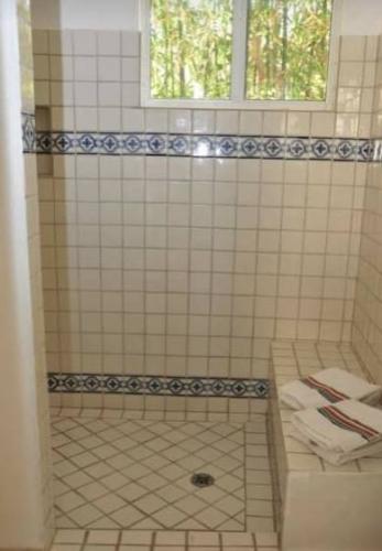 ShowerWhite