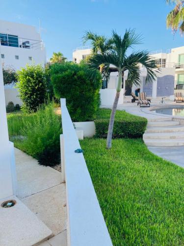 yard hedge